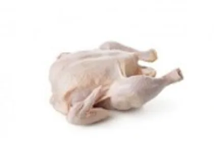 Broiler Chicken