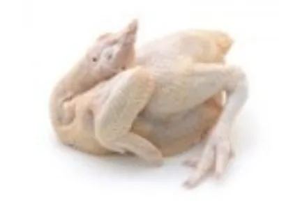 Chicken Bersih