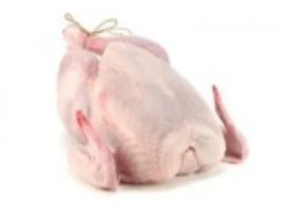 Organic Chicken