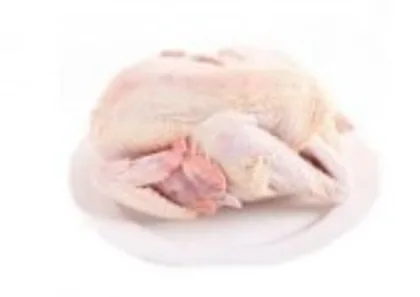 Fresh Old Chicken